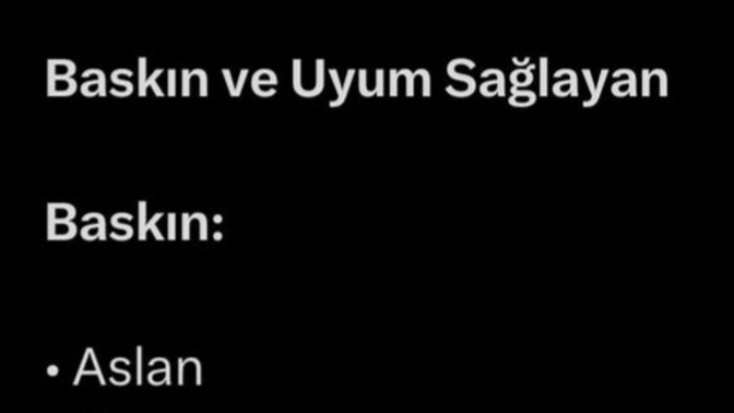 Burcuna göre Baskın mısın / Uyumlu musun 🙄?