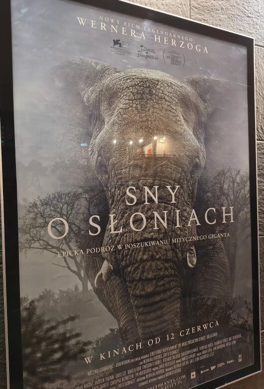 Film afiş bağımlısıyım ne yapmalıyım? Film afişleri biriktirmek ilginizi çeker mi?