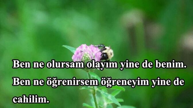 Fazla mütavazı biri misiniz?