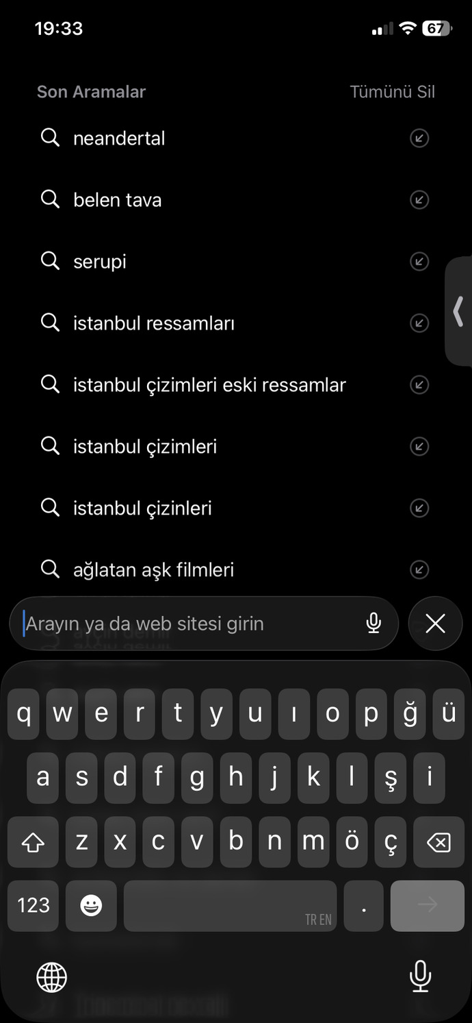 İnternet tarayıcı geçmişin şu an herkese açılsa ne kadar utanırdın?