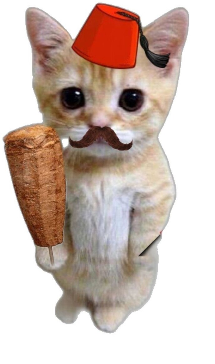 Tavuk döner sever misiniz sevgilinizle Tavuk döner date yapar mısınız?