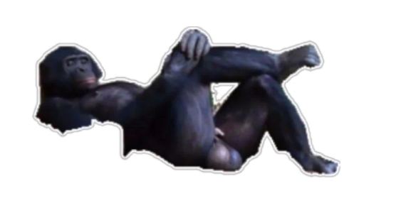 Mesleğinizi üç emoji ile yazın desem?