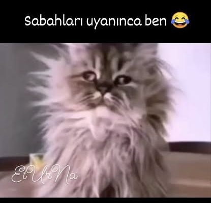 Uyurken tatlı mısınız?