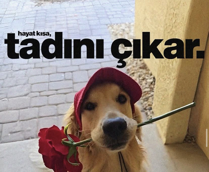 Yaz aylarında en sık yapılan aktiviteler neler, siz neler yapıyorsunuz?