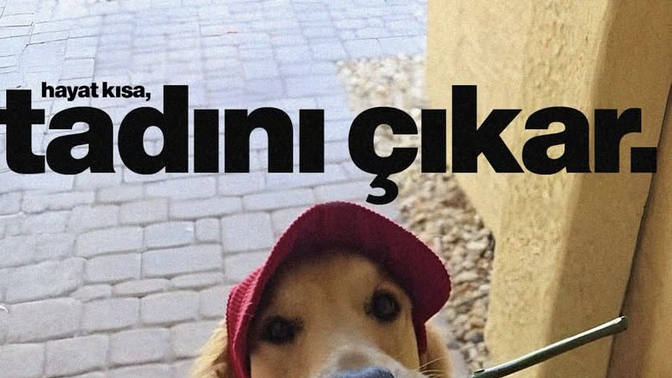 Yaz aylarında en sık yapılan aktiviteler neler, siz neler yapıyorsunuz?