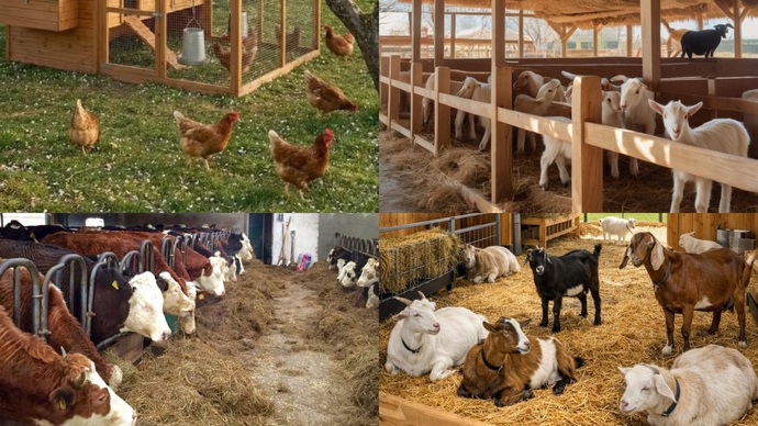 Doğal yoldan para kazanmak için çiftçilik nasıl bir düşünce sizce?