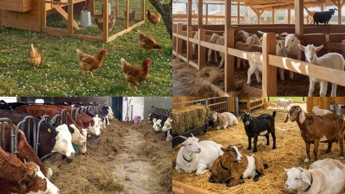 Doğal yoldan para kazanmak için çiftçilik nasıl bir düşünce sizce?