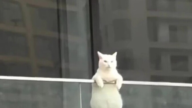 İş başında " akşam şunu yapacam bunu yapacam" diyip eve gelip yapıyor musunuz?