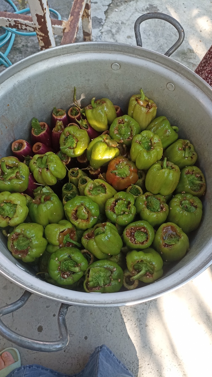 15 kişilik misafir yemeği menüm nasıl, taze fasulye dolma ve firikli pilav yeter mi?