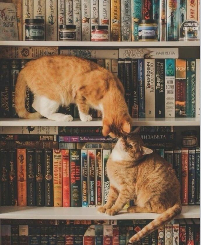 ♥️