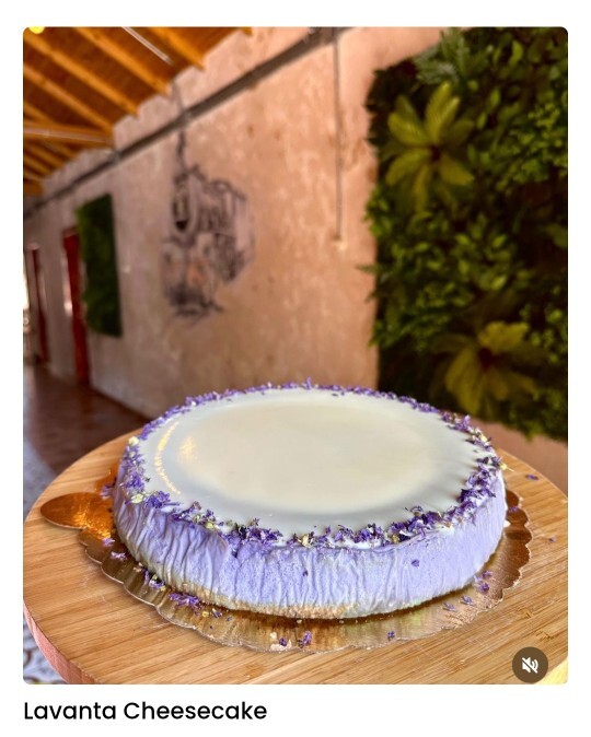 Lavantalı cheesecake gerçekten güzel mi, tadı nasıl geliyor size?