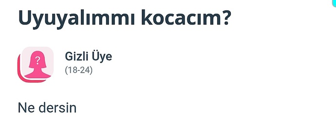 Kendinize gelicek misiniz artık 😄?