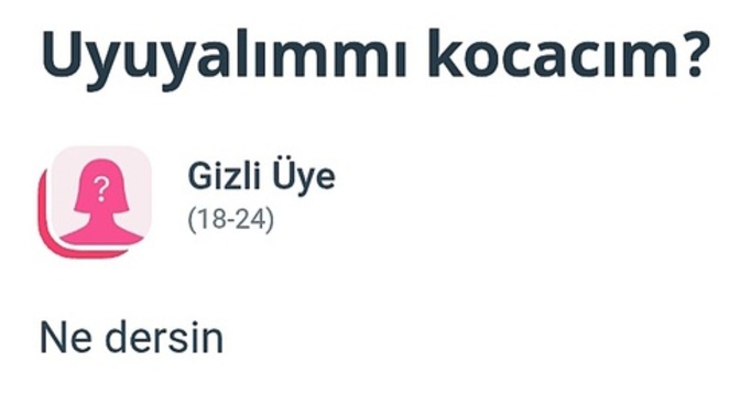 Kendinize gelicek misiniz artık 😄?