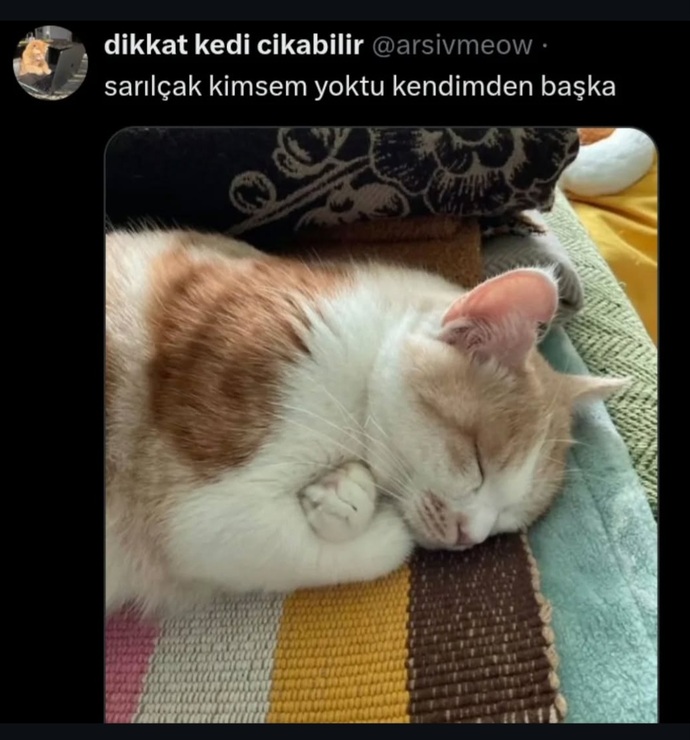 Sarılmayı seviyor musunuz?