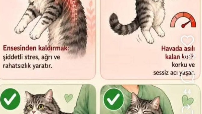 Lütfen bunlara dikkat edermisiniz?