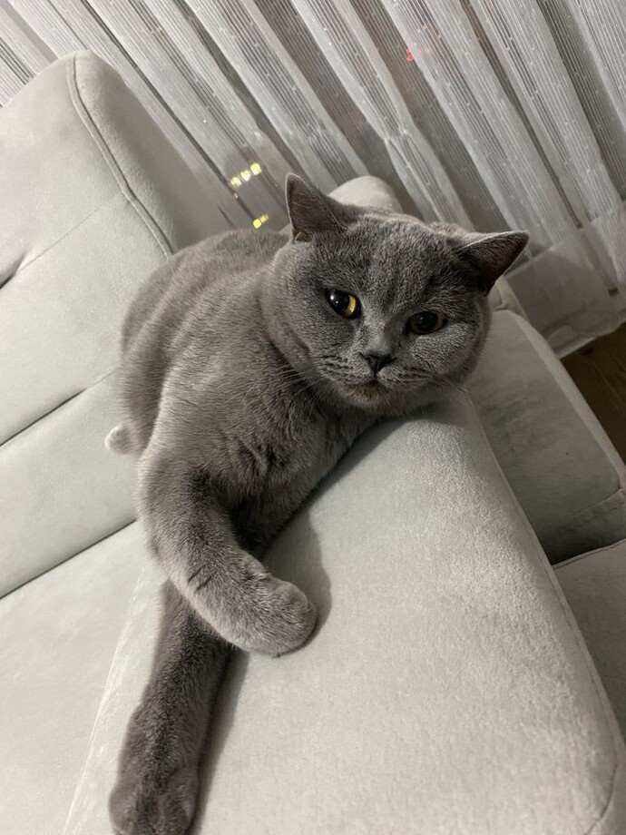 Sanırım aldatıldı?