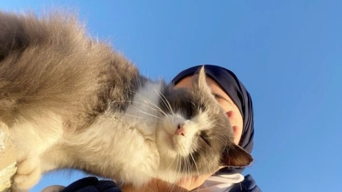 ​Bu minik aslanın bakışlarında sizce ne saklı? Sanki bana 'beni eve götür' der gibi bakıyor, sizce ona karşı koyabilir miyim?