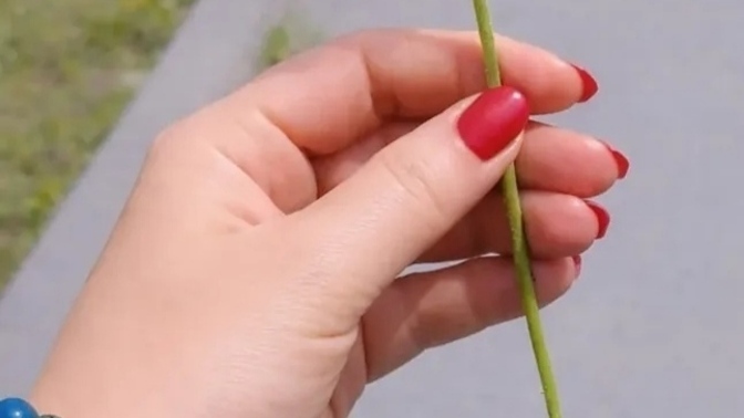 Kadınlar her zaman haklı mıdır?