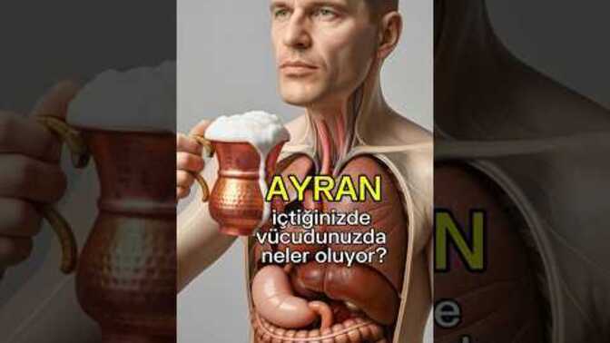 Deveye ayran iç demişler kırk çadır devirmiş niye nolmuş? içeceksin ayranı, öpeceksin arabı... demişlermi ne?