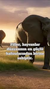 Fi hafızasına sahip olmak, lütuf mudur yoksa lanet midir?