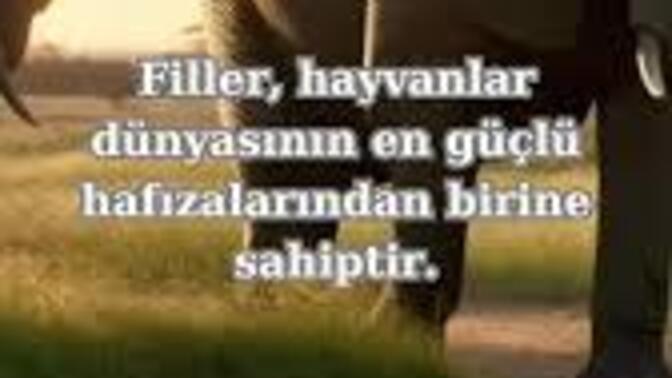 Fi hafızasına sahip olmak, lütuf mudur yoksa lanet midir?
