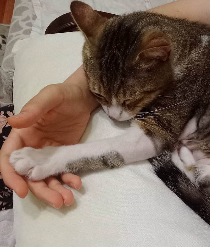 Sizin de böyle can yoldaşı gibi aşık olduğunuz tatlı bir kuzunuz var mı?