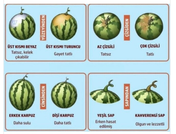 Güzel karpuz seçebiliyor musunuz?