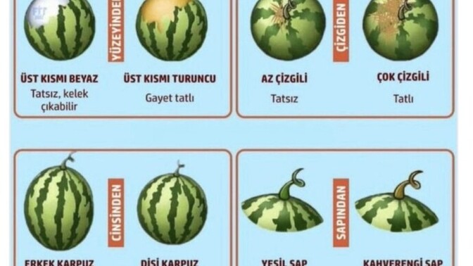 Güzel karpuz seçebiliyor musunuz?
