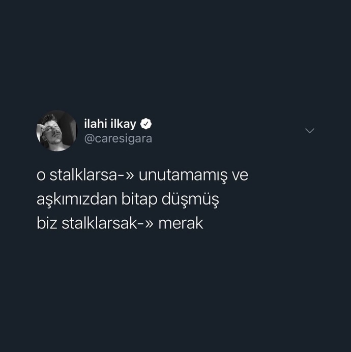 Tespitin dibi