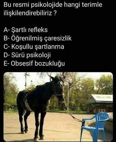 Toplu gıda zehirlenmeleri sıradan bir haber haline mi geldi?