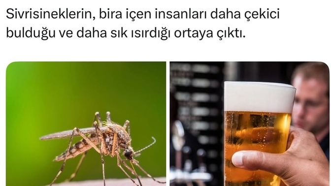 Bira seviyor musunuz ne sıklıkla içiyorsunuz?