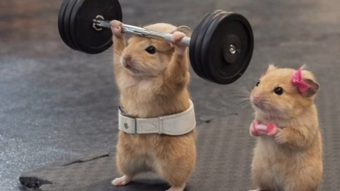 Sevgilinizle spor yapar mısınız?