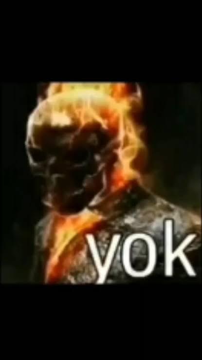 LGBT yi destekliyo musunuz?