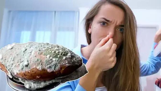 Asla yemem dediğiniz, kokusuna bile katlanamadığınız bir yemek var mı?