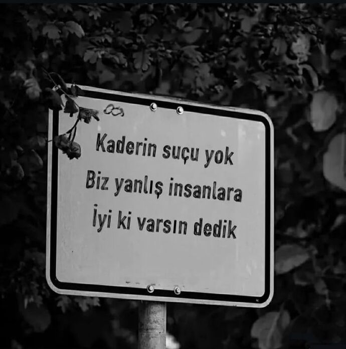 Birisi size Keşke sizi daha önce tanısaydım, çünkü hayatım daha güzel olurdu dese, nasıl hissederdiniz?