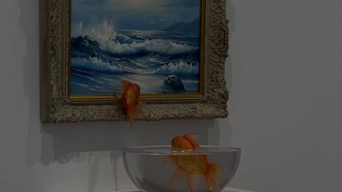 Sanat yapmak istiyorum sizce hangi hayvanı çizerek başlamalıyım 🐟 ?
