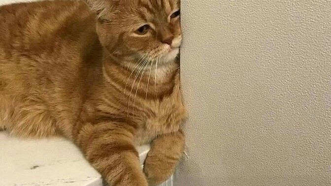 Hiç işe geç kaldınız mı?
