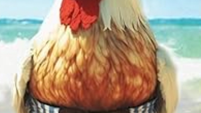 Özgür gezen tavuk mu, evcimen tavuk mu?