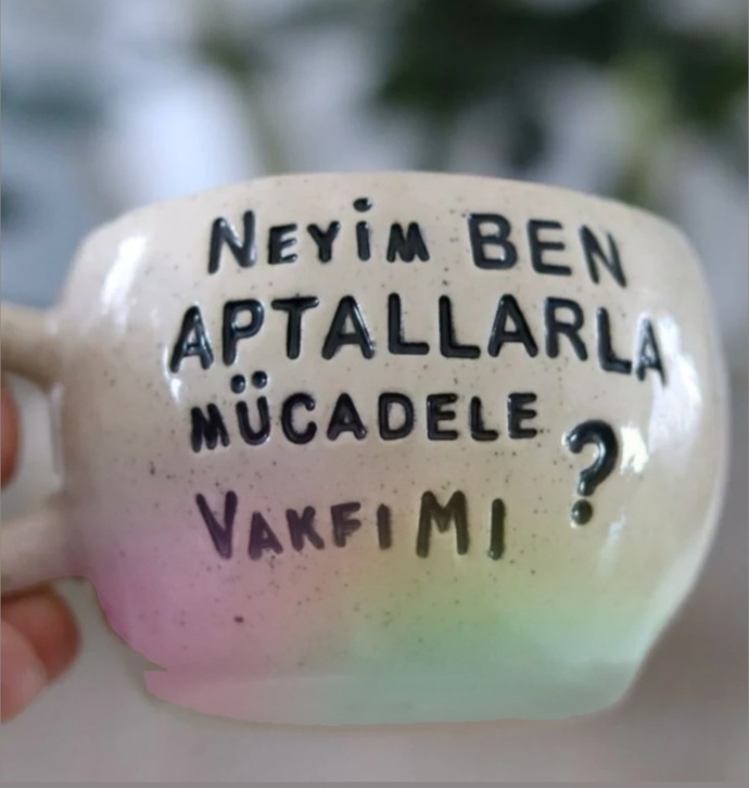 ​Çevrenizdeki insanların mantıksızlığı karşısında görselindeki gibi hissettiğinizde, nezaketi mi koruyorsunuz yoksa iğnelememi?