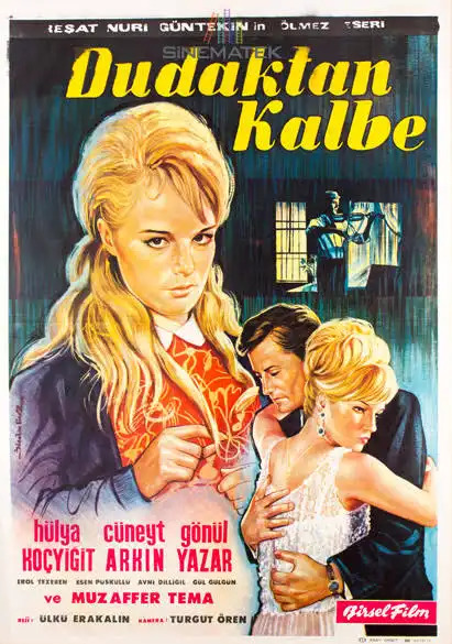 Bu filmi nereden bulabilirim?