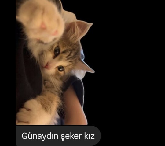 Hangi günaydın kalbe dokunur?