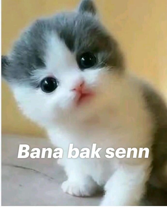 Birisi sana emir verebilir mi?