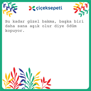 Görselini en iyi ifade eden kısa notunu