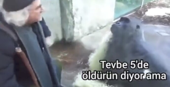 Sizce atoluk cehalet kaynaklı mı?