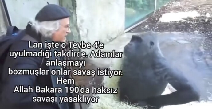 Sizce atoluk cehalet kaynaklı mı?