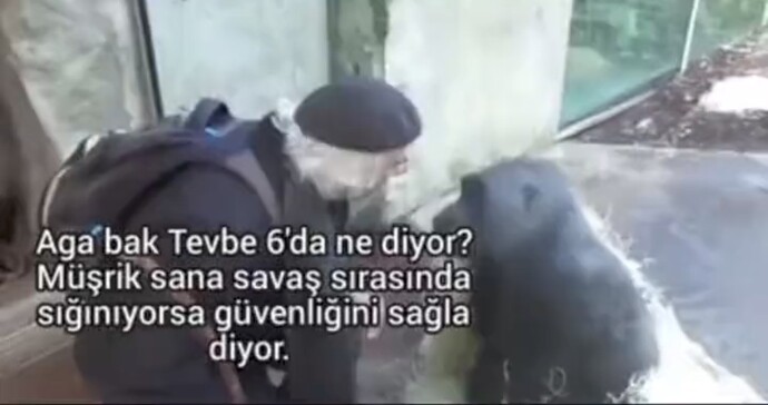 Sizce atoluk cehalet kaynaklı mı?