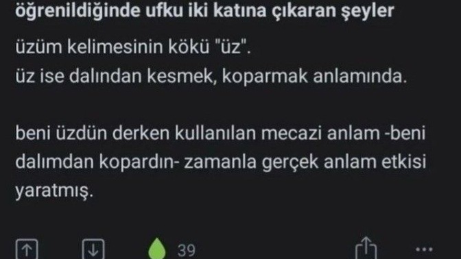 Size gereksiz bir bilgi vereyim mi?