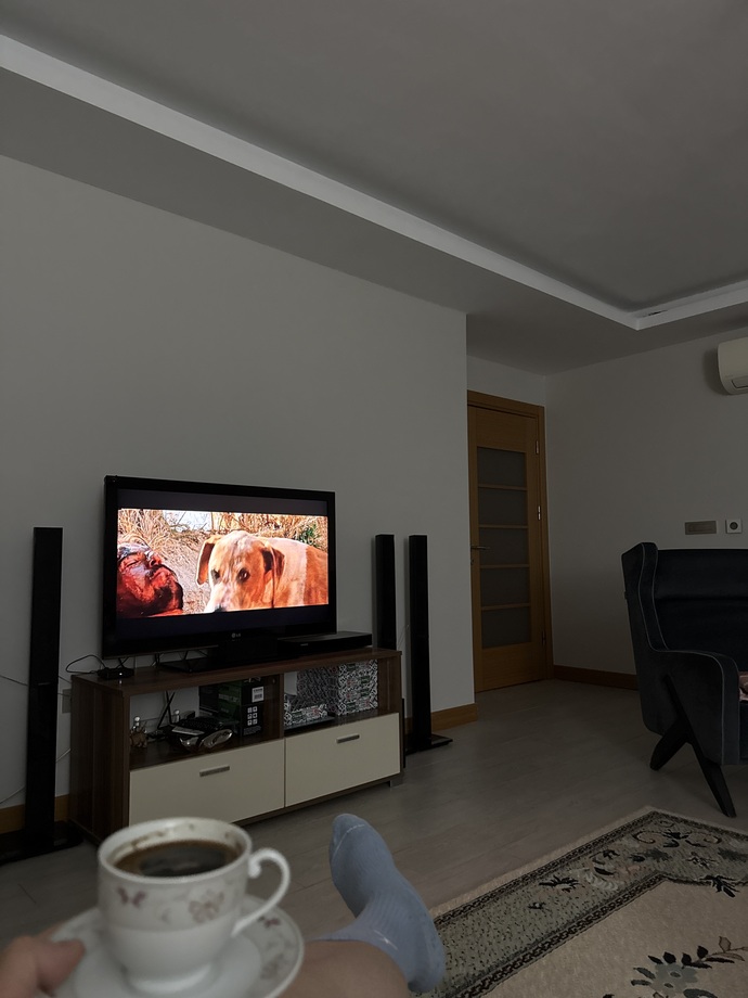 Ne tür filmler seversiniz?