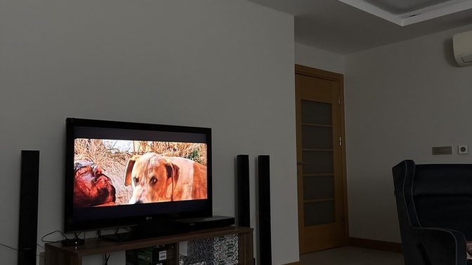Ne tür filmler seversiniz?