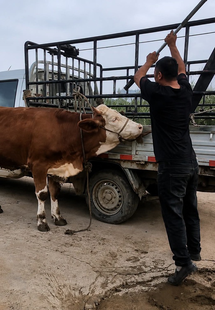 Günaydın aşağıdaki gönderiye dikkatli bakar mısınız çok üzücü?
